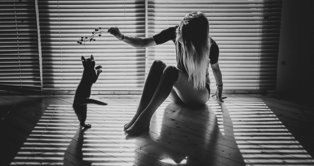 KADINLAR VE KEDİLER