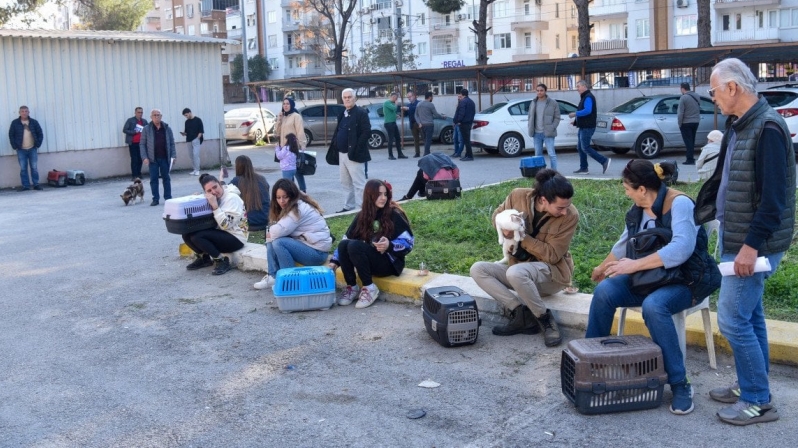 EVCİL HAYVANLARA ÇİP TAKTIRMA KUYRUĞU